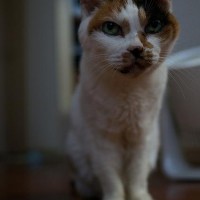 2015-01-01_1200