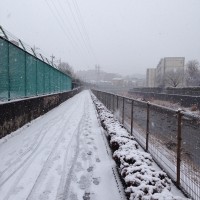30日、町田駅前近くの境川から上流方面を見た