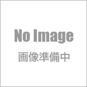 Visual BASICプログラミング〈上級編〉