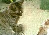 nono04.jpg(51.8K)
