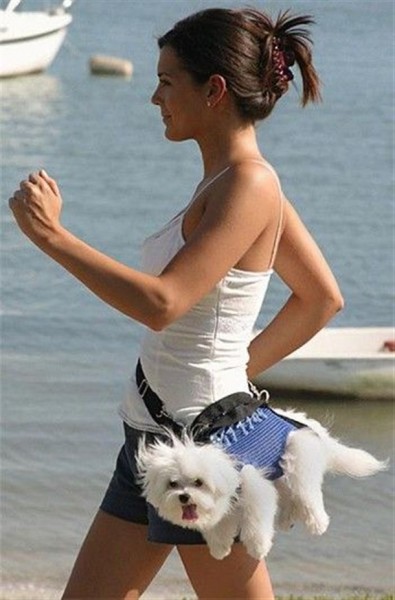 Doggy Style Picture