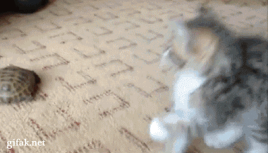 I want to attack the thing, but I don't wanna touch it - Imgur