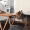 Thumbnail of related posts 072
