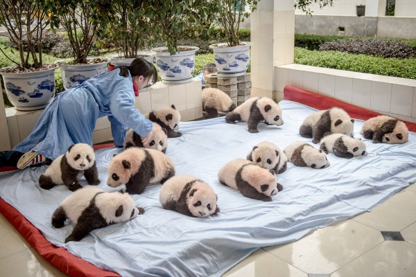 Pandas02