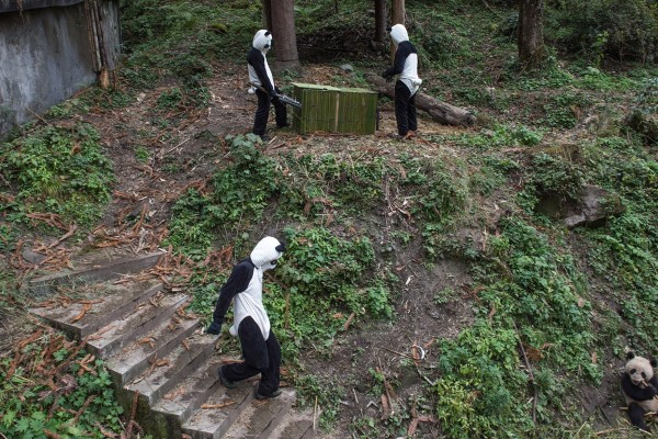 Pandas04