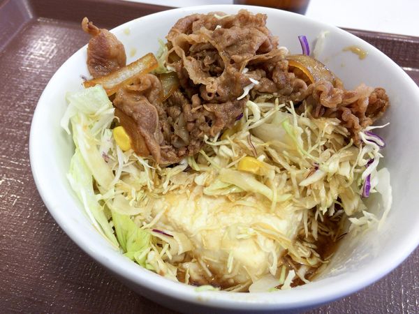 牛丼ライトの三層構造