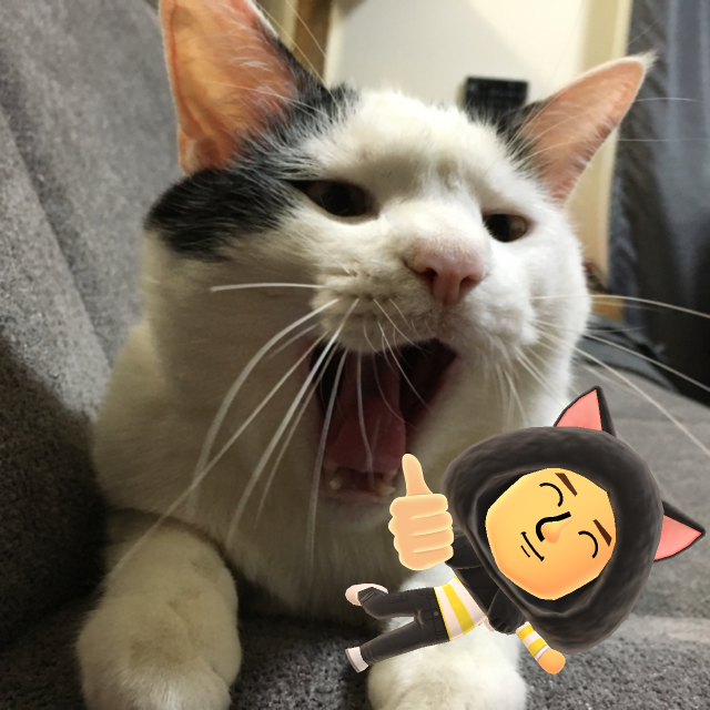 Miiフォトサンプルその4、実写を使って合成