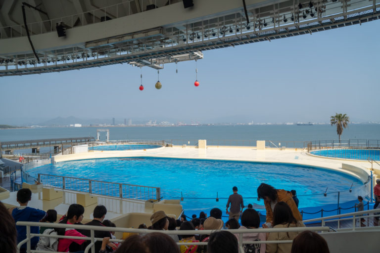  AbyssBox: この高圧水族館で深海の生き物たちに会いましょう
