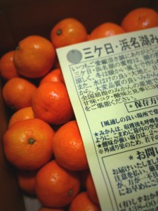 三ヶ日浜名湖みかん