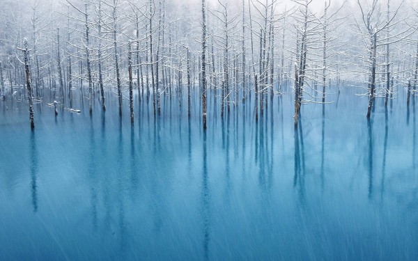 Blue Pond - The WallPaper for Apple Inc.
