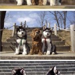 big brothers - Imgur
