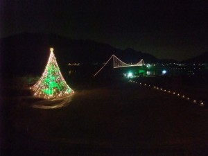 宮ヶ瀬ダムのクリスマスツリー