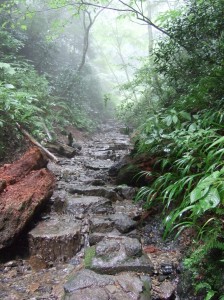高尾山6号路、沢登り
